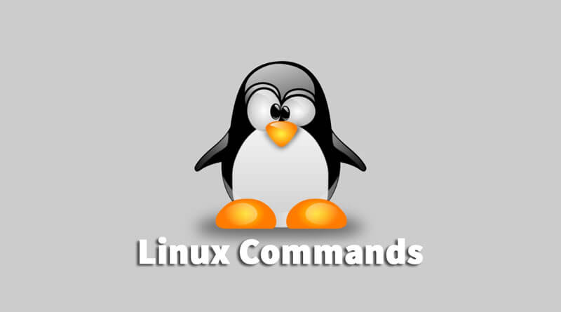کامندهای پرکاربرد لینوکس (Linux Commands)