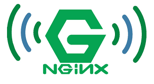 تفاوت وب سرور Nginx و لایسنس دار